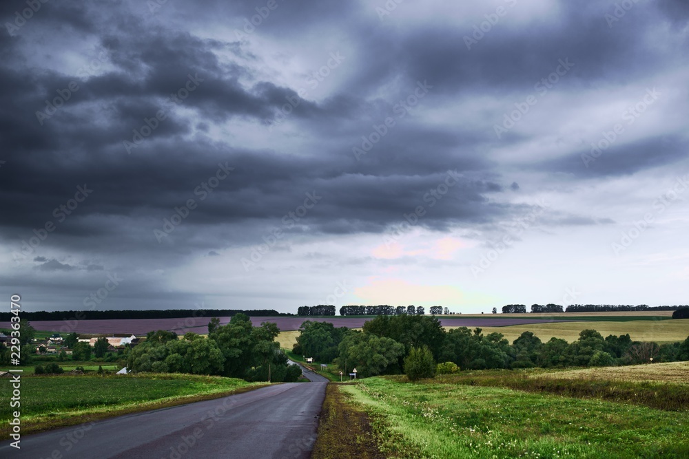 Fototapeta premium road in the countryside