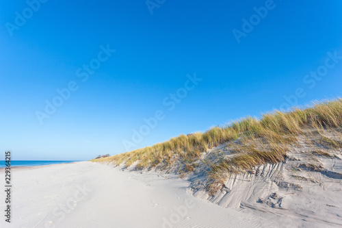 bright wild beach of white sand by the blue sea, Curonian Spit National Park