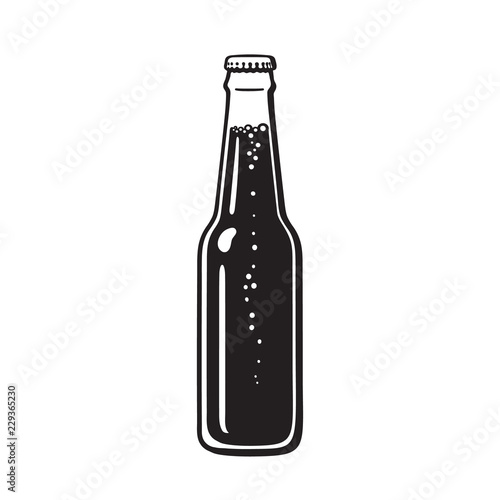 Bottle of beer or soda. Hand drawn vector illustration isolated on white.