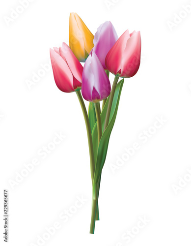 Bouquet of colorful tulips on a white. Realistic vector 3d illustration