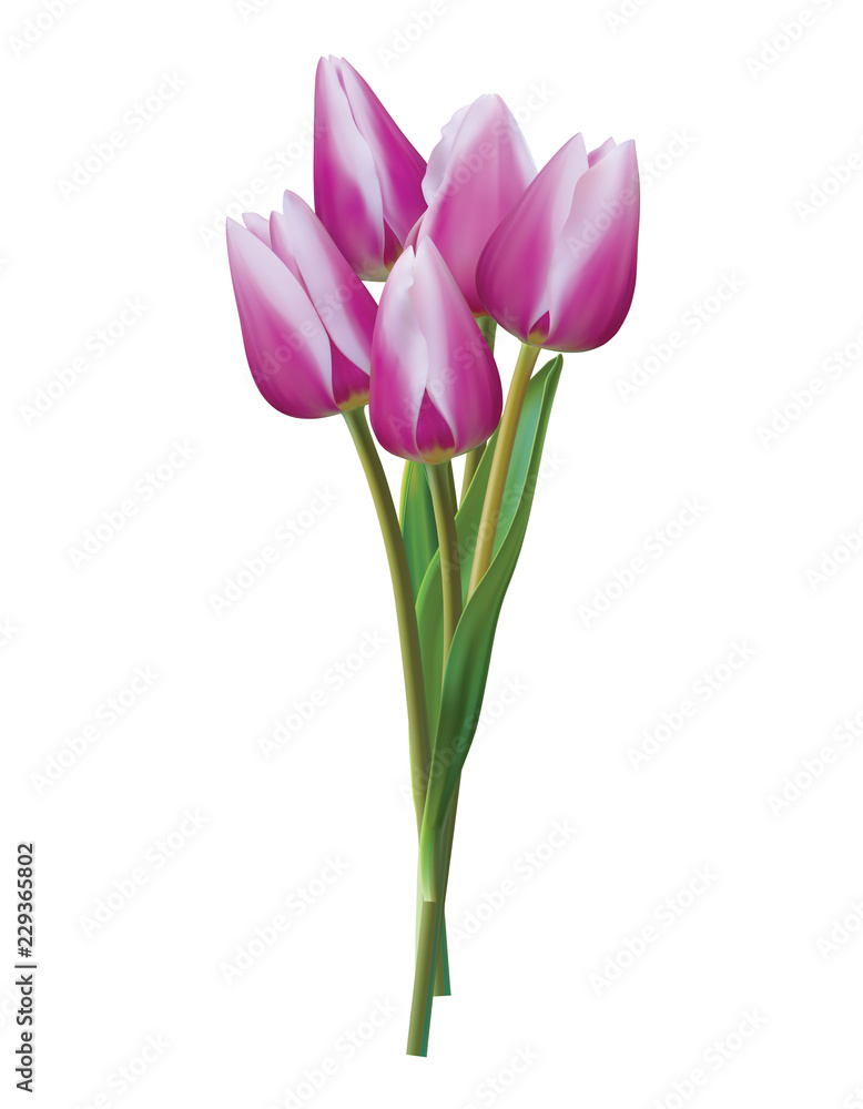 Bouquet of violet tulips on a white. Realistic vector 3d illustration