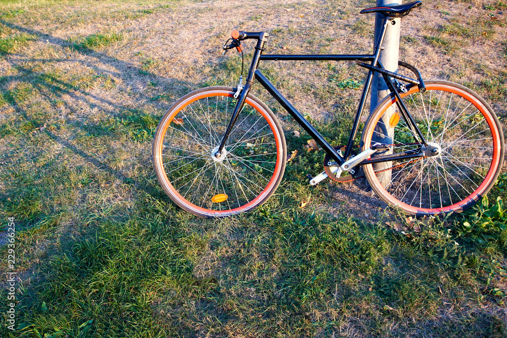 Angebundenes Fahrrad auf Rasen