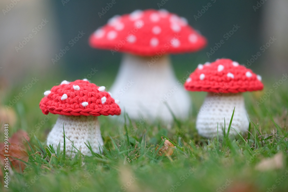 Fliegenpilz als gehäkelte Handarbeit Fliegenpilz als gehäkelte Handarbeit
