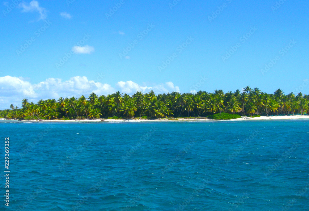 Tropical beach in caribbean sea, Saona island, Dominican Republic Tropical beach in caribbean sea, Saona island, Dominican Republic