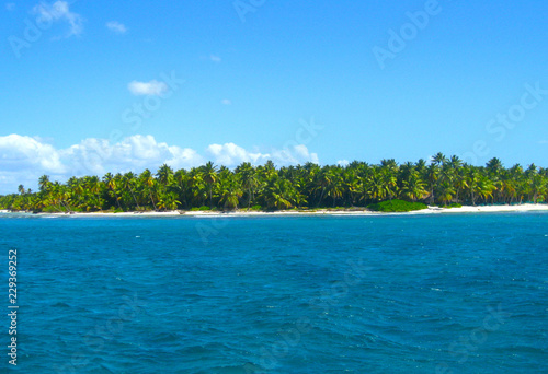 Tropical beach in caribbean sea, Saona island, Dominican Republic