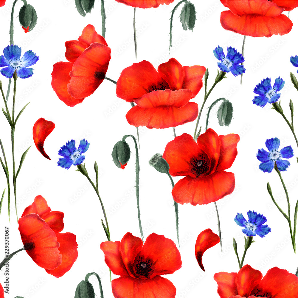 Seamless floral poppy pattern. Hand drawn watercolor