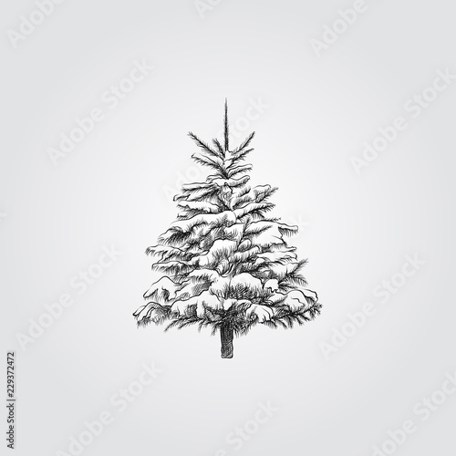 Hand Drawn Christmas tree under the snow Sketch Symbol isolated on white background. Vector of winter elements In Trendy Style