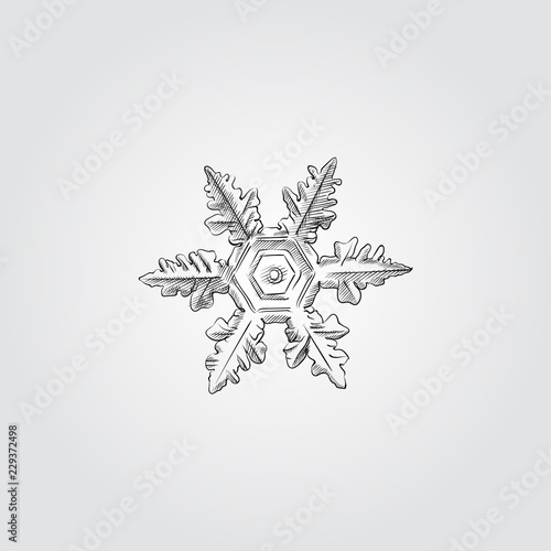 Hand Drawn Snowflake Sketch Symbol isolated on white background. Vector of winter elements In Trendy Style