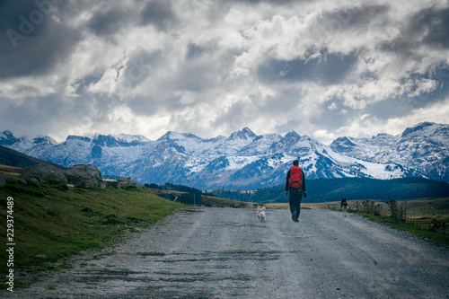 Persona caminando sola con dos perros en una carretera de montaña