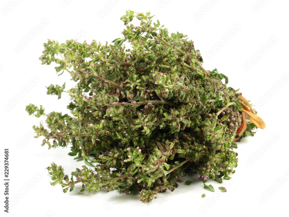 Thymian Bund Thymian Bund