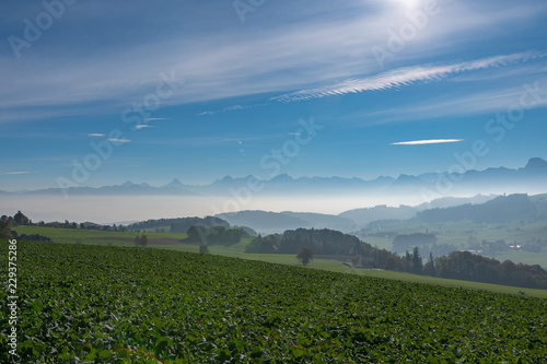 Griessli ünes Feld mit leichtem Bodennebel in den Schweizer Berge