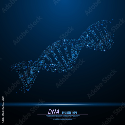 DNA helix chain structure