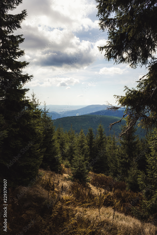 View of forest on hills and mountains. View of forest on hills and mountains.