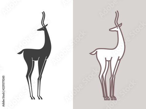 Silhouette of the gazelle isolated on white photo