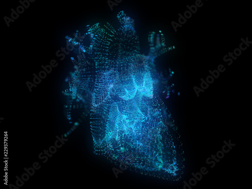 3d rendered illustration of a plexus heart