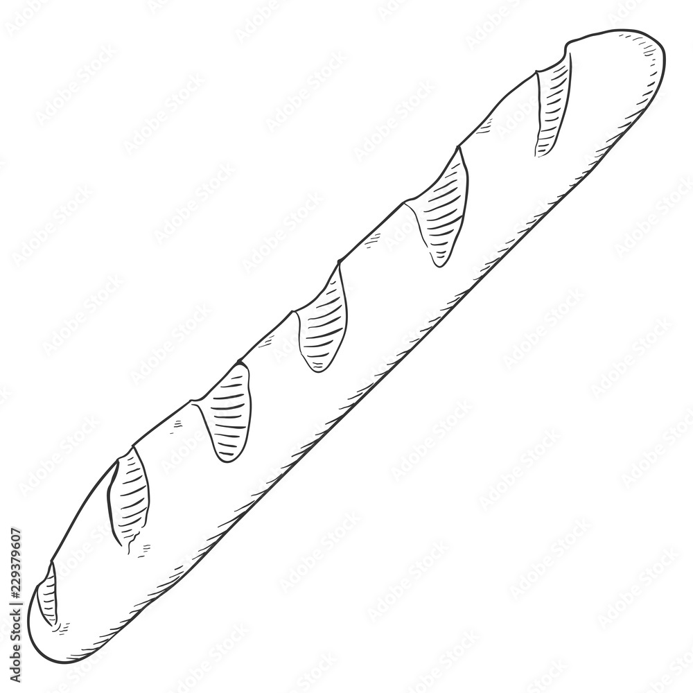 Vector Single Sketch Illustration - Long Loaf. French Baguette Vector Single Sketch Illustration - Long Loaf. French Baguette