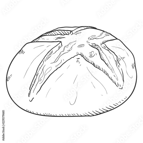 Vector Single Sketch Illustration - Homemade Wheat Bread Loaf