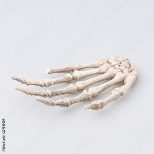 Human finger bone, Hallowee...