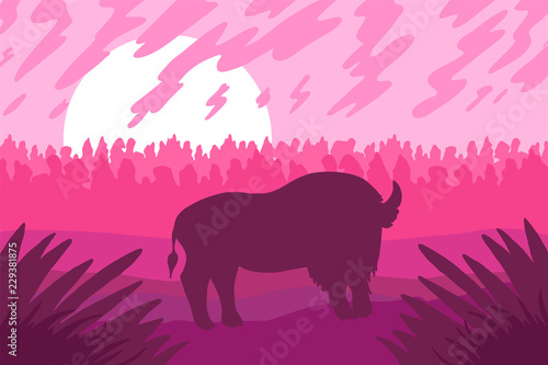 Landscape with wild bizon on field