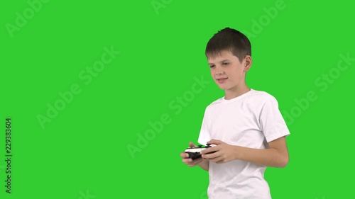 Good boy with a gamepad, isolated  