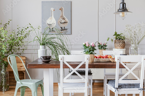 Real photo of plants in a rustical dining room interior with a table, chairs, painting with ducks photo