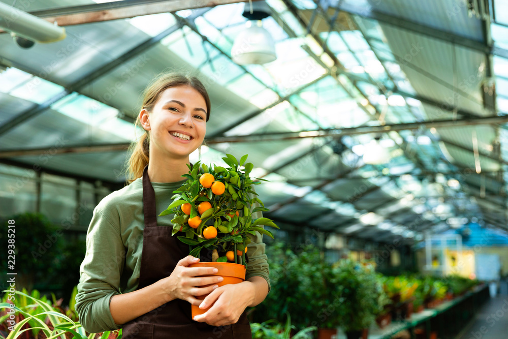 Portrait of pleased florist woman 20s wearing apron holding orange tree, while working in conservatory