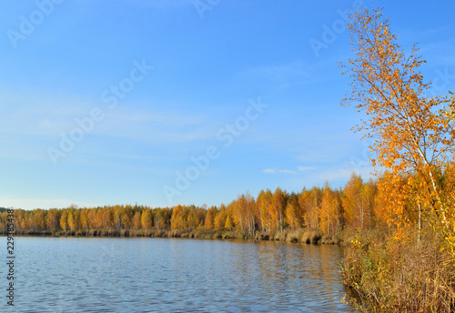 autumn landscape by the lake in the period of golden autumn