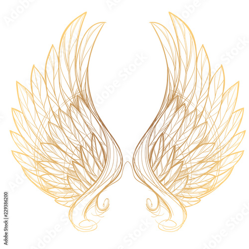Vector illustration of golden wings, isolated on white background. Design element for emblem, sign, vintage style posters and more.