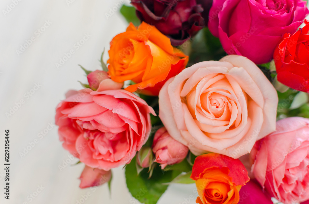 Valentines day background with colorful fresh roses laying on white table.
