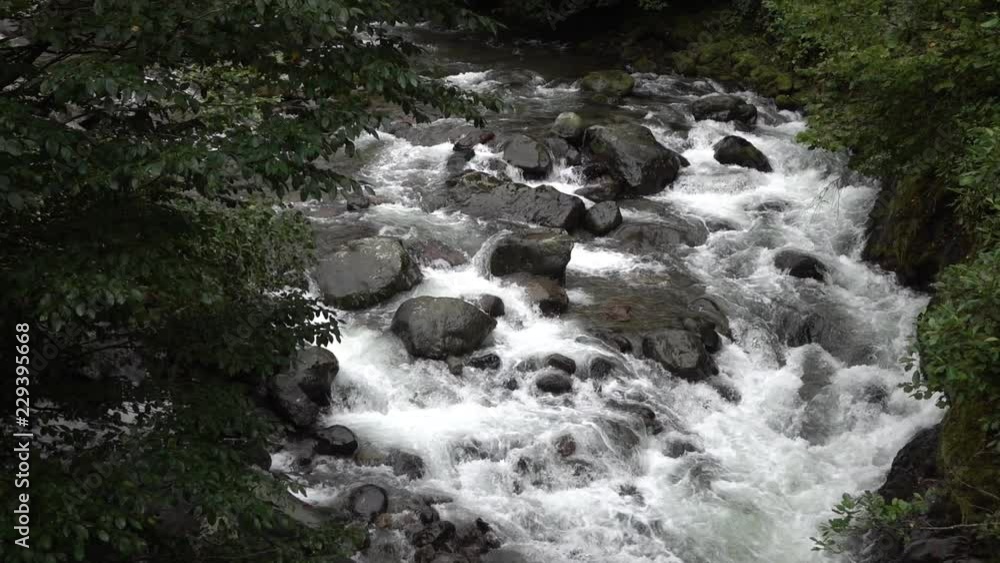 Georgia nature. Fast flowing mountain stream. Georgia nature. Fast flowing mountain stream.