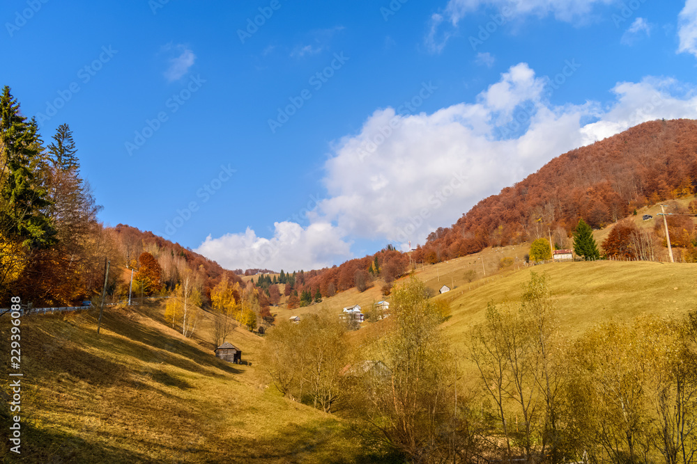 Beautiful autumn landscape full of colour from Sirnea Village in Brasov Romania Beautiful autumn landscape full of colour from Sirnea Village in Brasov Romania