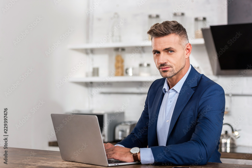 handsome businessman in formal wear looking at camera and using laptop at home handsome businessman in formal wear looking at camera and using laptop at home