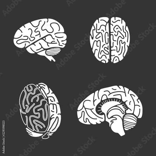 Brain icon set. Simple set of brain vector icons for web design on gray background