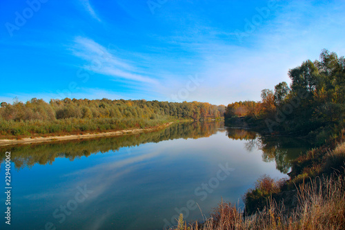 Autumn landscape. Dry leaves fall on water surface of river © alexmak