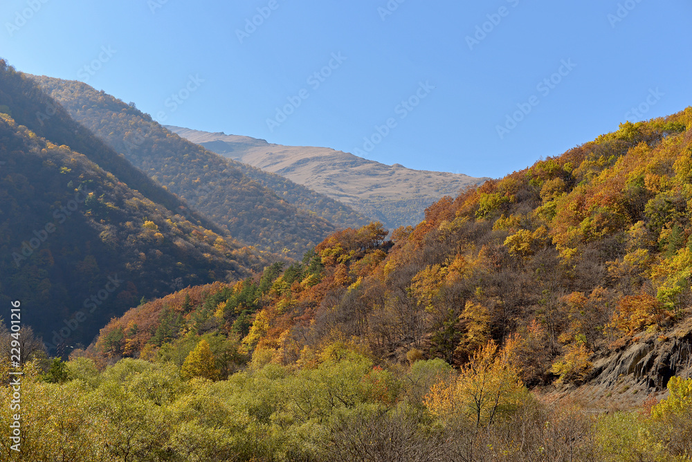 Mountain autumn landscape. Colorful trees.