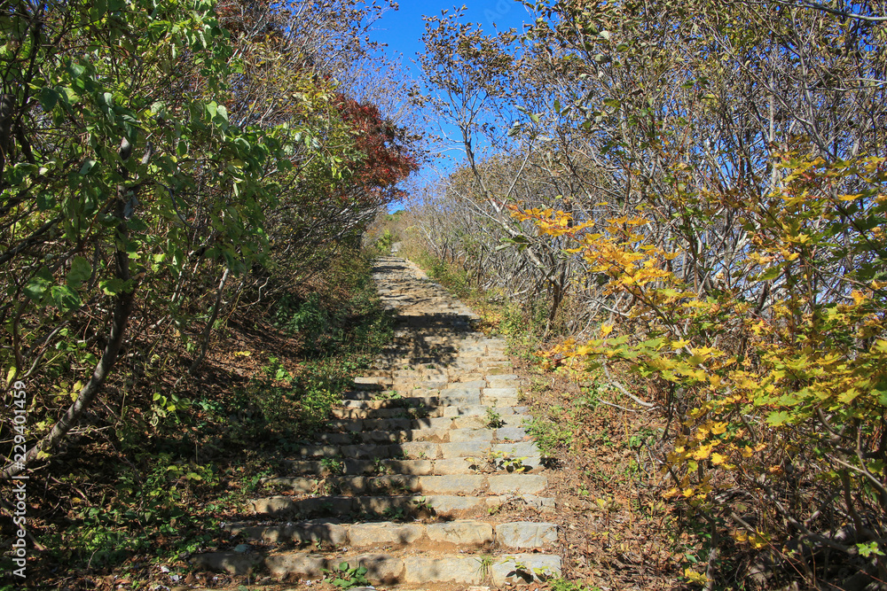 Fototapeta premium 蔵王 賽の磧・刈田岳線登山コースの風景