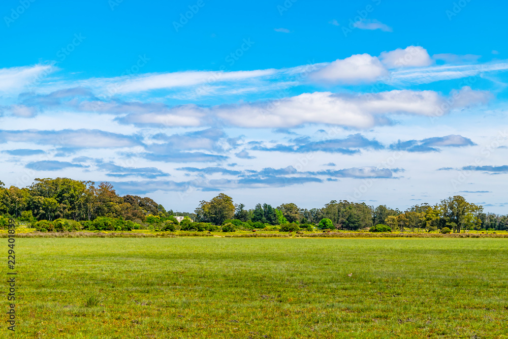 Obraz premium Indigenous Park, Maldonado Department, Uruguay