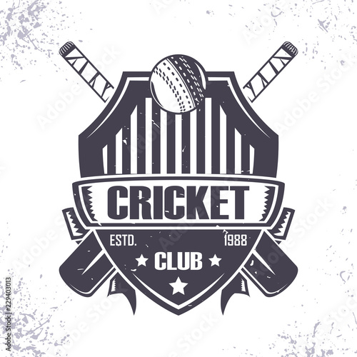 Cricket club Badge Logo Design, emblem team tournament template, vector
