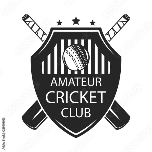 Cricket club Badge Logo Design, emblem team tournament template, vector
