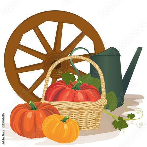 Garden harvest with vegetables and different gardening equipment, tools. Vector illustration.