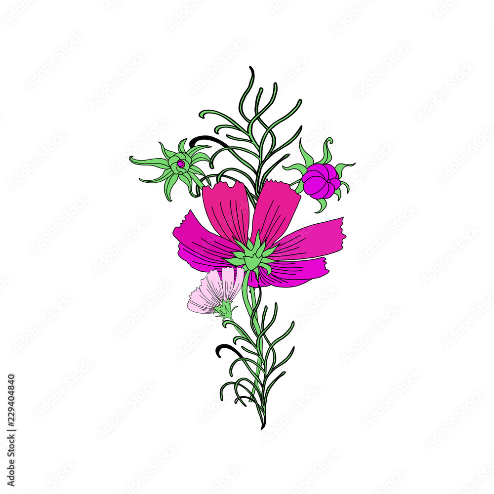 Beautiful Cosmos Flowers Template Isolated on White Background for Greeting Cards, Wedding Invitations, Illustrations, Web, Textile Designs. Cute Vector Bouquet of Cosmos Flowers Beautiful Cosmos Flowers Template Isolated on White Background for Greeting Cards, Wedding Invitations, Illustrations, Web, Textile Designs. Cute Vector Bouquet of Cosmos Flowers