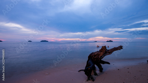 Sunset and Elephant Roots at Kai Bae Beach  Koh Chang  Thailand