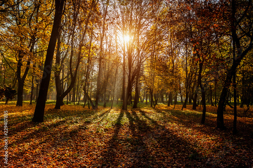 Autumn in the city park. The city of Khmelnitsky