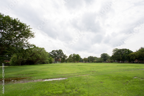 golf course on a sunny day