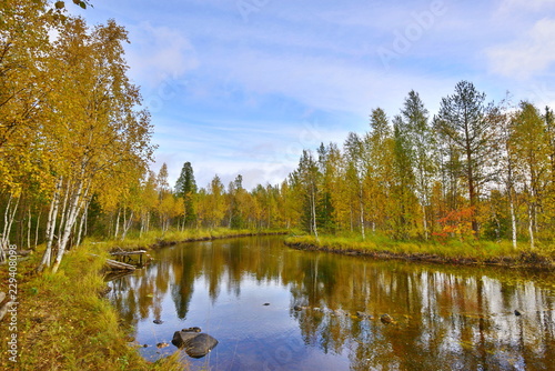 mirror water in the autumn forest