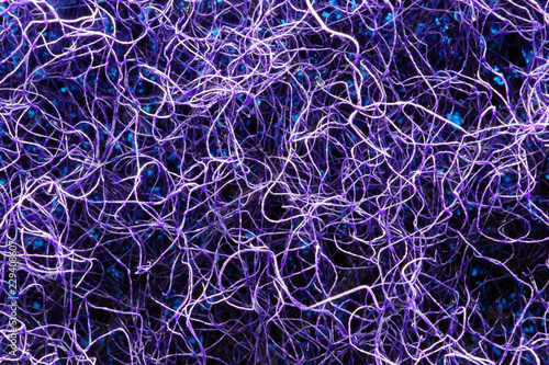  Neuron fiber microscope