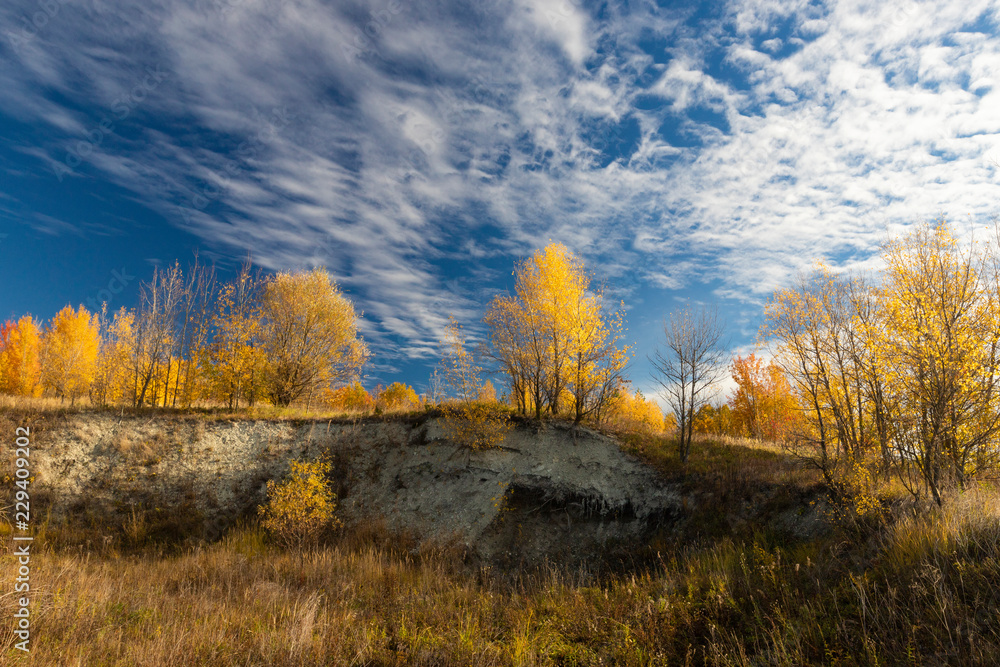 Fototapeta premium Beautiful autumn landscape