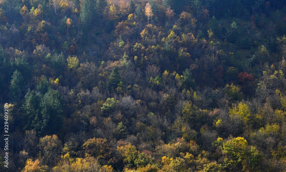 landscape in autumn
