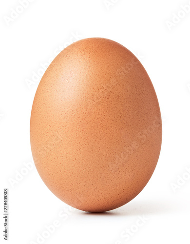 brown egg isolated on white background
