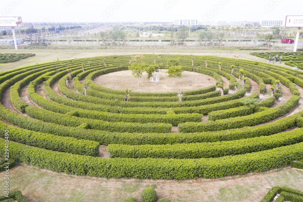 Aerial view of Green maze garden